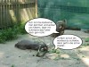 P1420193_bearbeitet P1420193_bearbeitet
